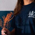 Moda Circular